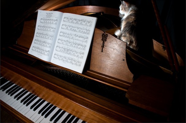 10条克服创作瓶颈的建议